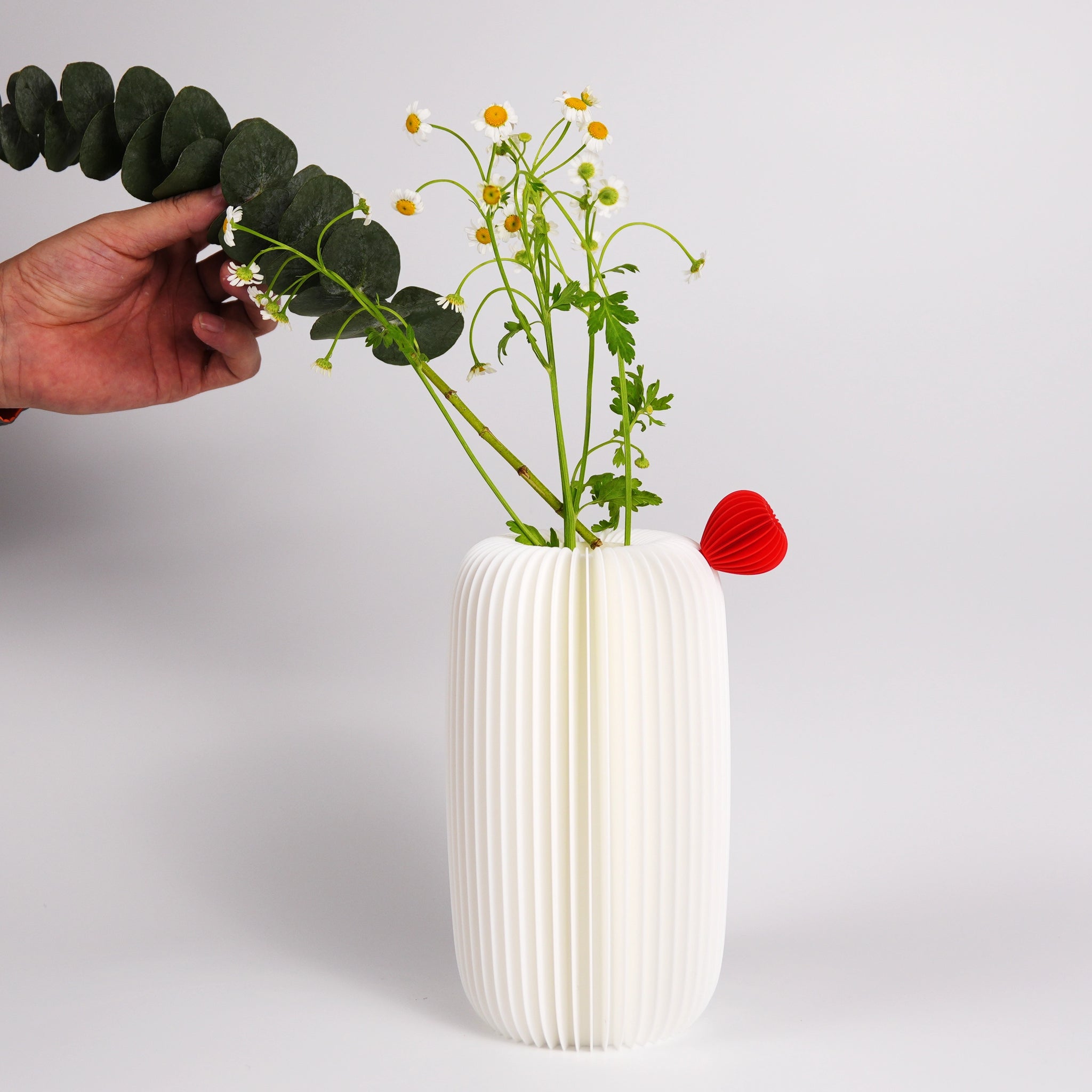 Cacti Vase